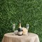 11 sq ft Green Large Boxwood Leaves 11UV Protected Wall Backdrop Panels Wedding